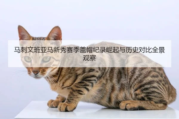 马刺文班亚马新秀赛季盖帽纪录崛起与历史对比全景观察（kaiyun）